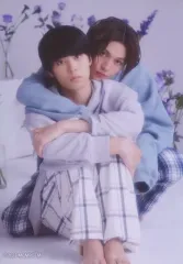 【中古】生写真(男性) 萩原利久(平良一成)・八木勇征(清居奏)/ドラマ「美しい彼」シーズン2 ブロマイドセット