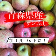 青森県産　サンふじ　加工用　10キロ！