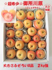 ☆超希少品種☆果肉まで赤～いりんご『御所川原』☆B品☆不揃い2.2kg強のサムネイル