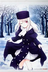 2025年最新】イリヤ タペストリー fateの人気アイテム - メルカリ