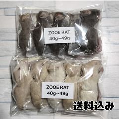 爬虫類の餌　国産冷凍ラット　40g  50g 10匹入 個包装
