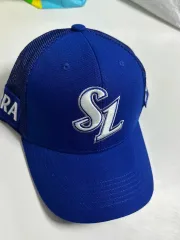 先輩たち、後輩たちと一緒にサムスンのユニホームを着て野球場で