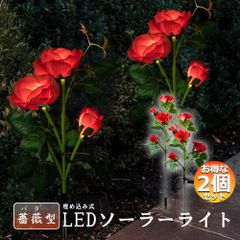 Item thumbnail for item 9d6e79b8-dc4f-46b2-bcb0-8ece2f098349