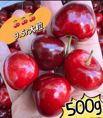 超大粒！9.5r アメリカンチェリー500g 車厘子 フルーツ さくらんぼ