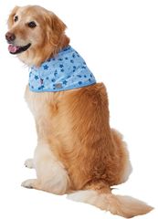新品 お散歩用 犬用ウェア ひんやりポンチョ (Petio) Lサイズ ペティオ