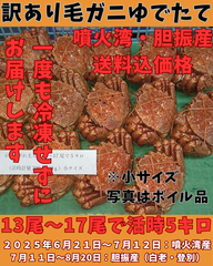 ゆでたて 訳あり毛ガニ１３尾～１７尾で５キロ前後活時計量　冷蔵便