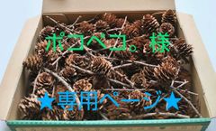 ★ポコペコ。様 専用ページ★