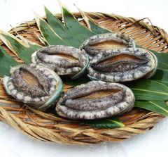 冷凍エゾアワビ(蝦夷) 殻付き5個セットあわびバーベキュー