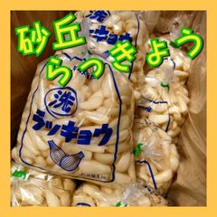 【贈答用】とっくり芋　短形自然薯　抜きたて 10kg程度　とろろ　ねばり　山芋 贈答用】とっくり芋 短形自然薯 抜きたて 5kg程度 とろろ ねばり
