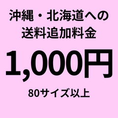 沖縄・北海道への送料追加料金　1,000円　80サイズ以上