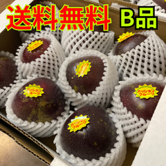 【送料無料】沖縄県産B品パッションフルーツ