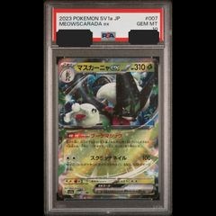 送料無料】 ポケモンカード チコリータ PSA10 PSA鑑定 PROMO 373