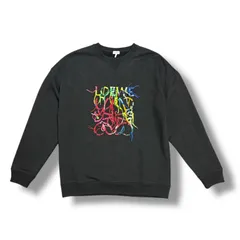 良品☆ロエベオーバーサイズ異素材切り替えトレーナーパイル地L