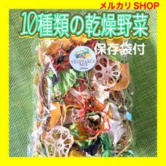 【10種類の乾燥野菜MIX100g】ジッパー袋付き 味噌汁の具 ラーメンの具 スープの具 ドライベジ ドライフード 簡単お手軽超便利野菜 無添加無着色 野菜の備蓄に！
