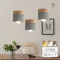 富士電器 白熱灯照明器具 スポットライト 天井照明 インダストリアル