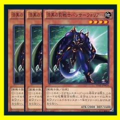 漆黒の豹戦士パンサーウォリアー - メルカリ