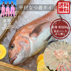青空レストランに出演！平戸なつ香タイ （半身・真空パック・あら無し）送料無料 フルーツ魚