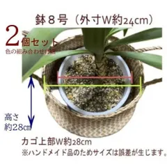 鉢カバー2個セット 8号 7号 プランターカバー 観葉植物 造花　2WAY かご 収納 キャンプ アウトドア 自然素材 ベトナム産 ベトナム雑貨