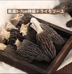 新入荷♪ 厳選5〜7cm　特級ドライモリーユ 乾燥アミガサタケ キノコ50g