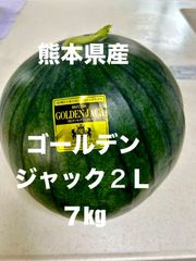 【産地直送・希少スイカ・即日発送可】熊本県産大玉黒すいか　ゴールデンジャック２Ｌ　黄色すいか種なしすいか　正規品　秀品　贈答用