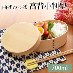 Item thumbnail for item 35957a27-351b-449c-9fde-0f1902b37cad