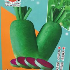 中国水果萝卜 红心甜脆 大根の種 50粒 ビタミン大根