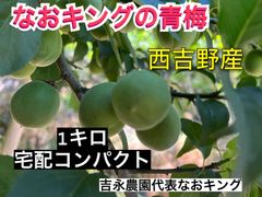 青梅 1キロ 西吉野産 6月上旬発送 梅