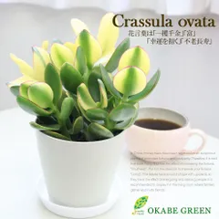 専用ページ購入不可 開運絵画 朱雀 金のなる木(黄金花月) 金運 大吉数入り