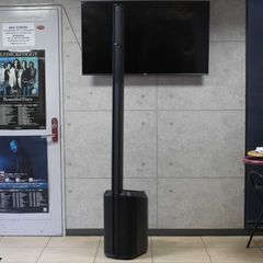 中古	Bose	L1 Pro 8
