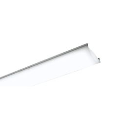 Item thumbnail for item dd69b5ad-cf4d-4e2b-b4ea-6b270bddc6bc