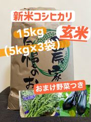 令和4年産 群馬県産コシヒカリ新米（玄米）15kg