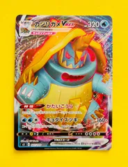 カジリガメ系列　バラ売り可能 楽天市場】カジリガメの通販