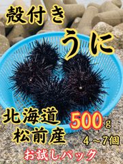 殻付きうに 500g 北海道松前産 キタムラサキウニ  雲丹　　お試し