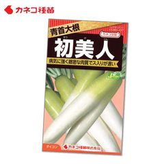 ダイコン 種 病気に強い 緻密な肉質でおいしい ス入りが遅い 初夏美人 青首大根 野菜の種 畑 カネコ種苗