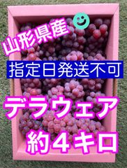 ☀️山形県産ぶどう　デラウェア約４キロ☀️