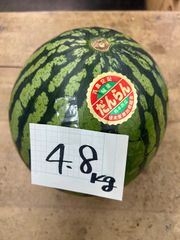 北海道沖縄離島追加送料無し　熊本県産赤肉すいか《だんらん》　4.8kg 現品販売
