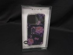 Item thumbnail for item 21aeb57a-fbb4-4f2f-89cb-b95652df82e3