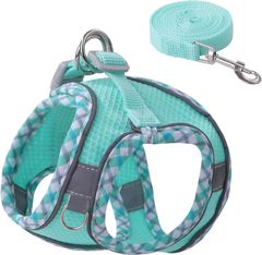 Item thumbnail for item 1e1a354d-39eb-4478-8ca4-ea7ee8a8afac