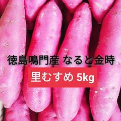 徳島産なると金時 新物 5kg 鳴門ナルトNARUTO淡路島たまねぎ玉葱タマネギ