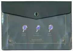 【中古】雑貨 オクタヴィネル寮 エンベロープケース 「ディズニー ツイステッドワンダーランド」 ディズニーファンタジーショップ限定