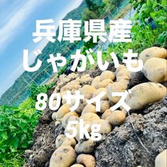 令和6年産 兵庫県 丹波篠山産【大納言小豆】1.5㎏（300g×5袋