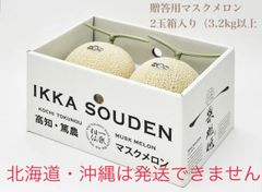 「贈答用マスクメロン」2玉箱入り（3.2kg以上）
