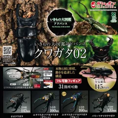 いきもの大図鑑アドバンス クワガタ02 [ノーマル3種セット※レアは含みません。] ガチャガチャ カプセルトイ