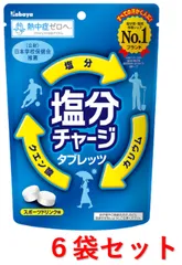【未使用】お部屋でスヌーピー　全種類コンプリートセット　カバヤ食品　ラムネ　食玩 未使用】お部屋でスヌーピー 全種類コンプリートセット カバヤ