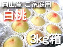 【冷蔵便】岡山産　清水白桃　約3ｋｇ1箱（10～16玉入り）ご家庭用