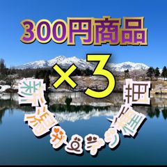 セット価格