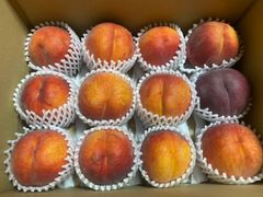 長野県産　ワッサー　家庭用　12玉入り