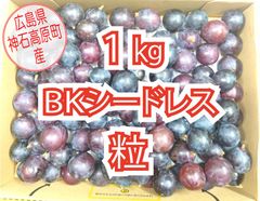 産地直送 ぶどう粒 BKシードレス 約1kg　広島県神石高原町産