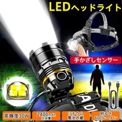 ヘッドライト USB 充電式 LED ヘッドランプ 強力 釣り アウトドア キャンプ 登山 LEDヘッドライト センサー 防災対策 ヘルメット 作業用