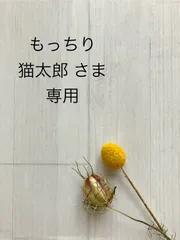 専用ページです